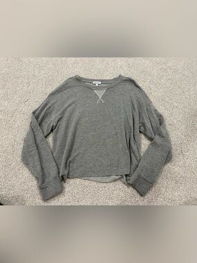Splendid Gray Long Sleeve Crewneck Top